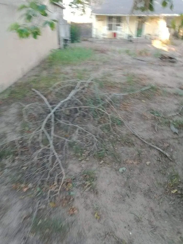 Reliable landscaping services in Roswell, NM - DirtyDeed's Services