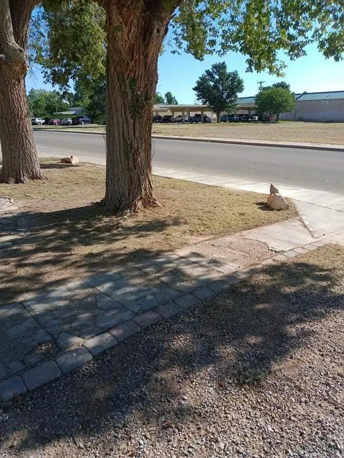 Trusted yard maintenance in Roswell, NM by DirtyDeed's Services