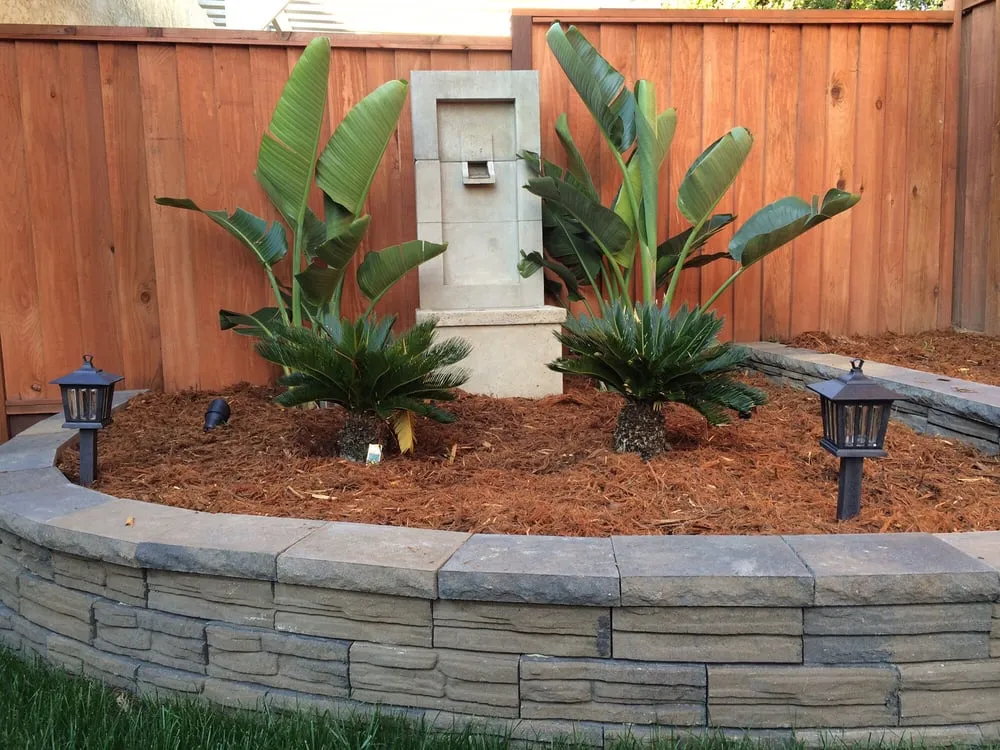 Trusted lawn mowing service near you across Morgan Hill, CA - DiSalvo Design And Maintenance