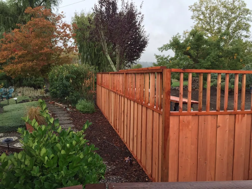 Reliable lawn mowing service experts serving Morgan Hill, CA - DiSalvo Design And Maintenance