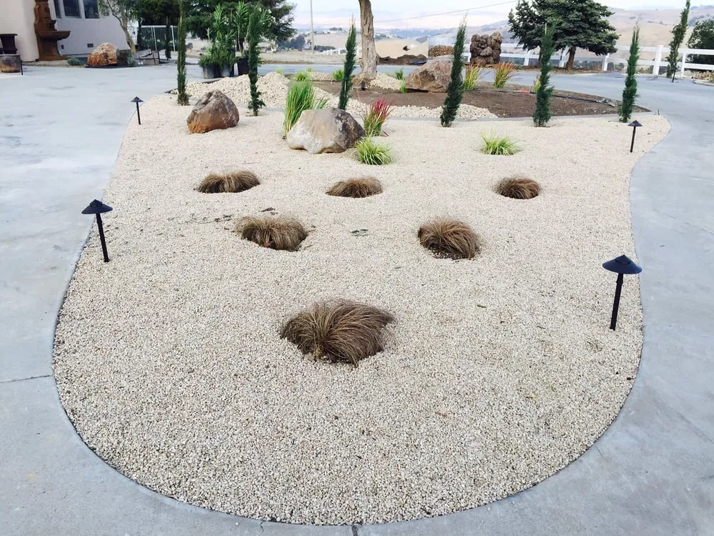 Expert garden landscaping experts serving Morgan Hill, CA - DiSalvo Design And Maintenance