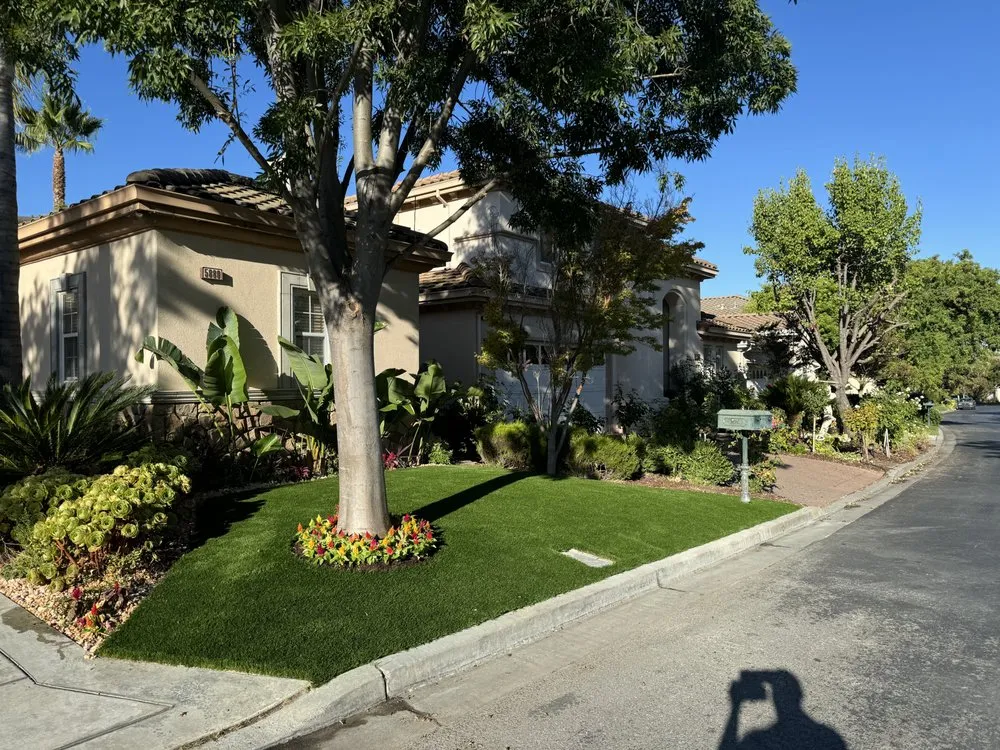 Top-rated yard cleanup service in San Martin, CA - DiSalvo Landscape
