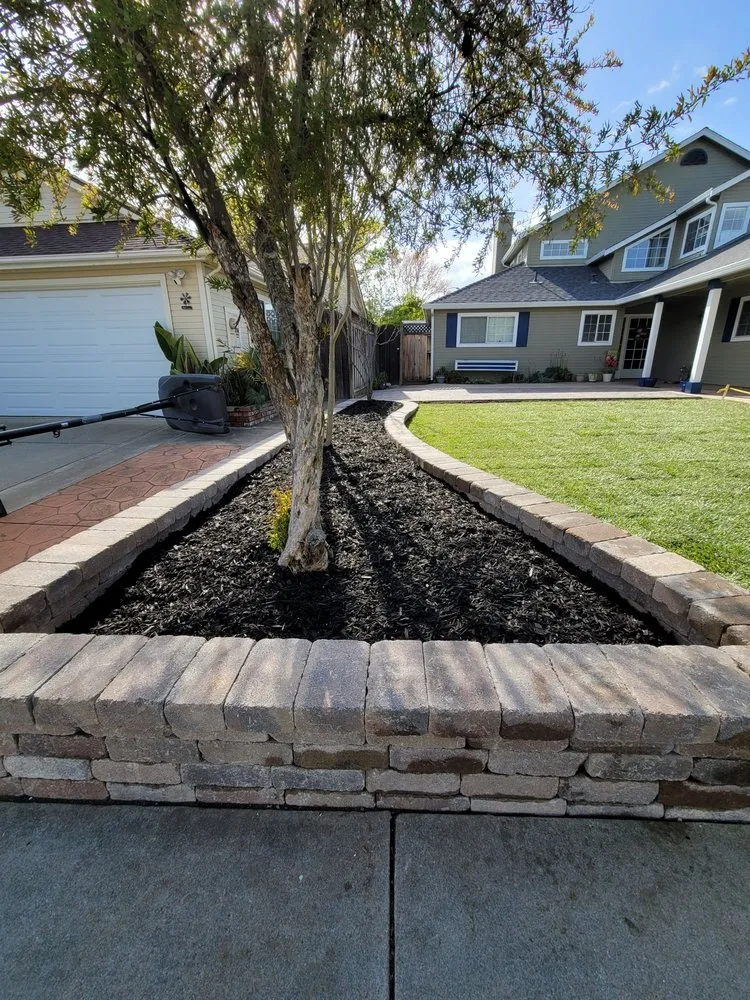 Affordable landscaping services experts serving San Martin, CA - DiSalvo Landscape