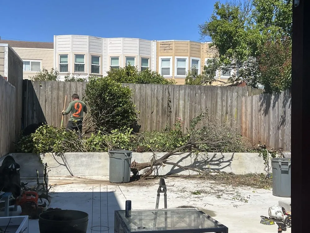 Custom garden landscaping for outdoor upgrades in San Francisco, CA by Discount Clean-Up Gardening