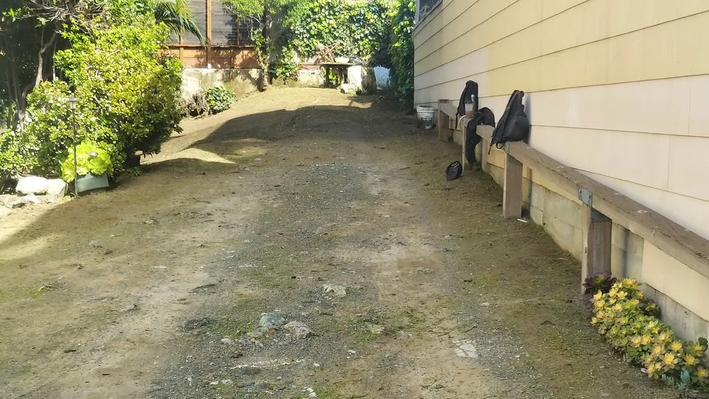 Expert landscaping services in San Francisco, CA by Discount Clean-Up Gardening