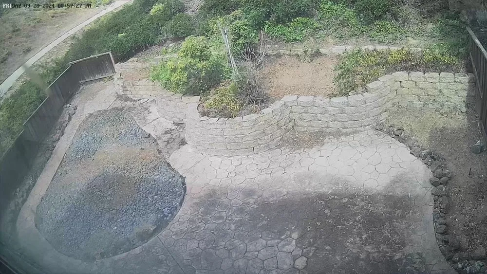 Trusted yard cleanup service experts serving San Francisco, CA - Discount Clean-Up Gardening