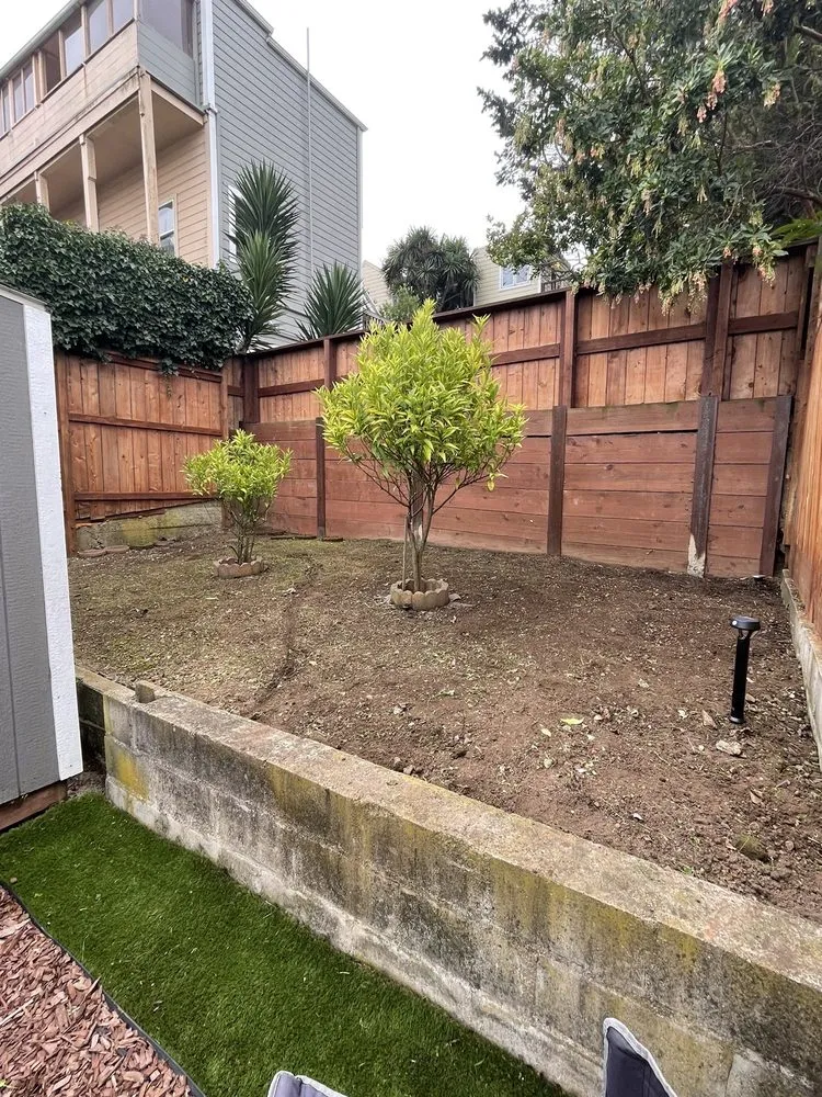 Trusted yard cleanup service for outdoor upgrades across San Francisco, CA - Discount Clean-Up Gardening