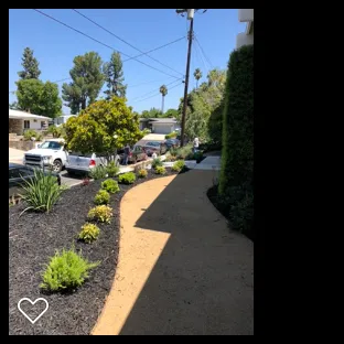 Reliable yard cleanup service for homes in Woodland Hills, CA by Discount Landscape