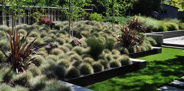 Top-rated lawn mowing service near you in Woodland Hills, CA by Discount Landscape