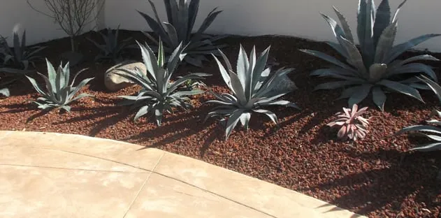 Expert lawn care service in Woodland Hills, CA - Discount Landscape