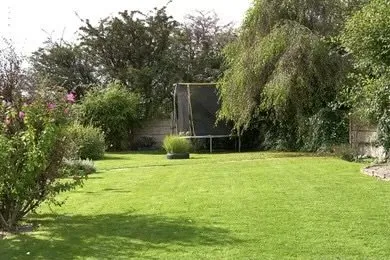 Reliable landscape design for outdoor upgrades across Tamarac, FL - Discount Landscaping