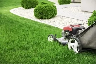Expert lawn care service with custom design in Tamarac, FL by Discount Landscaping