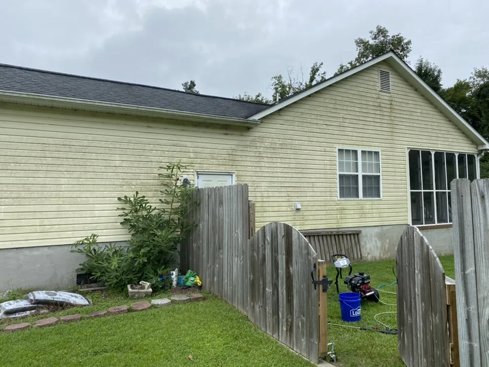 Expert yard cleanup service in Jacksonville, NC by Discount Lawn Care And Pressure Cleaning