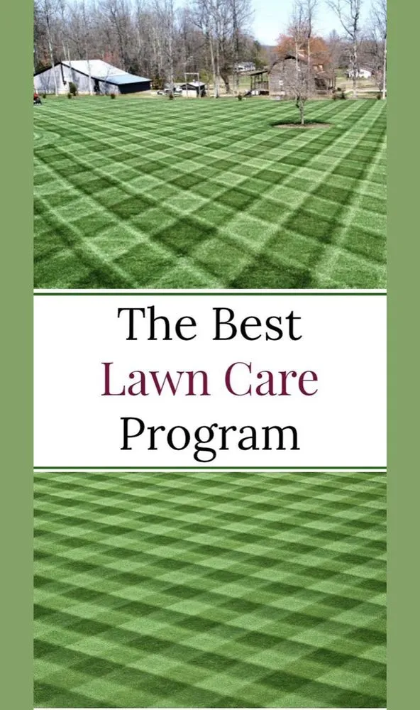Top-rated landscaping services for outdoor upgrades in Jacksonville, NC by Discount Lawn Care And Pressure Cleaning