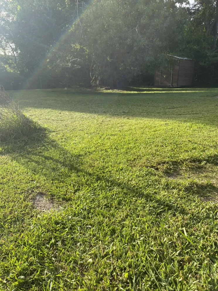 Reliable landscape design experts serving Jacksonville, NC - Discount Lawn Care And Pressure Cleaning