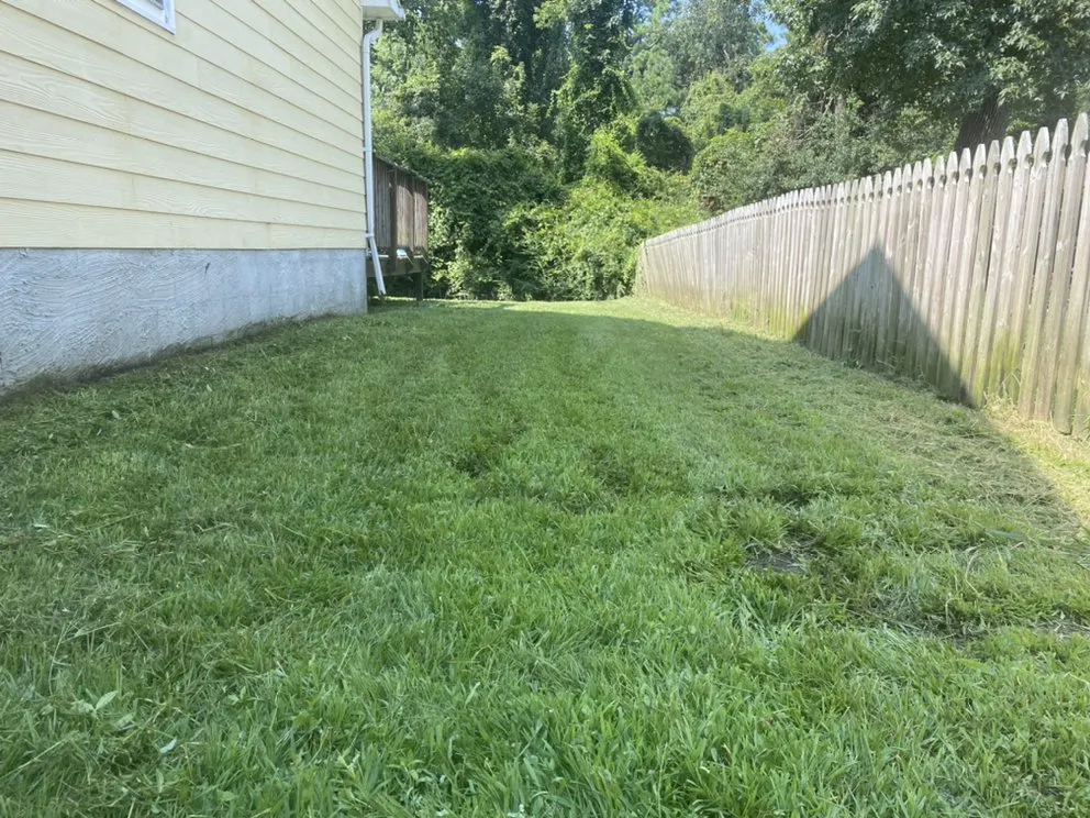 Custom landscape installation for year-round maintenance in Jacksonville, NC by Discount Lawn Care And Pressure Cleaning