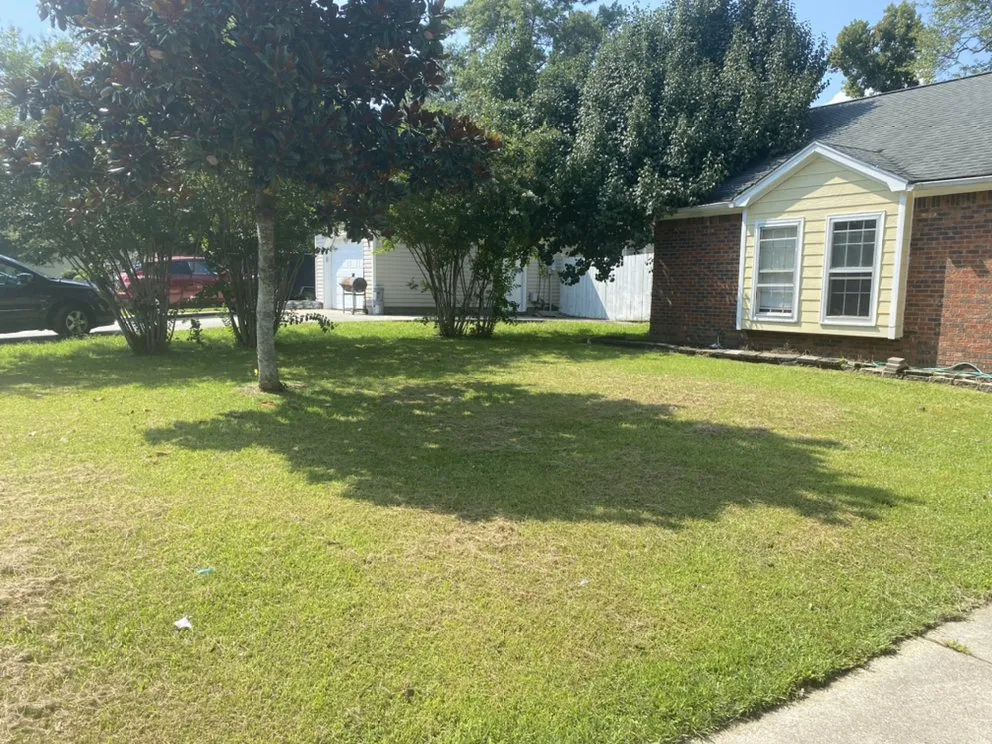 Top-rated garden landscaping in Jacksonville, NC by Discount Lawn Care And Pressure Cleaning