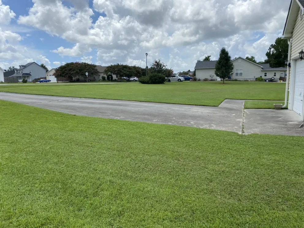 Expert yard cleanup service for residential properties across Jacksonville, NC - Discount Lawn Care And Pressure Cleaning