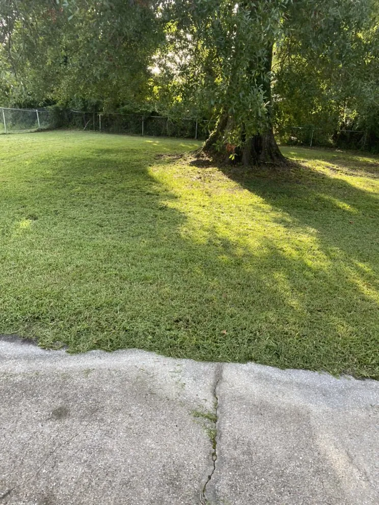 Trusted yard maintenance in Jacksonville, NC by Discount Lawn Care And Pressure Cleaning