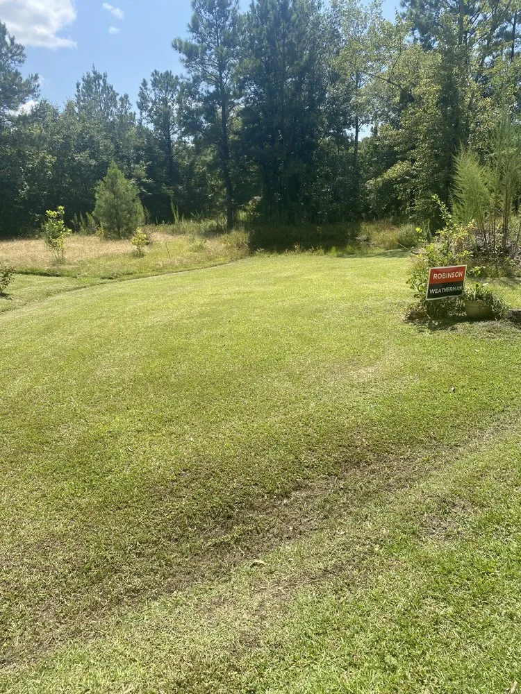 Reliable landscape design in Jacksonville, NC by Discount Lawn Care