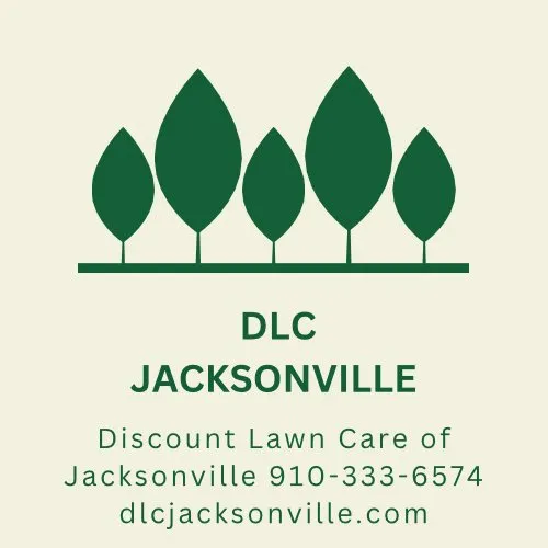 Local landscaping services for year-round maintenance across Jacksonville, NC - Discount Lawn Care
