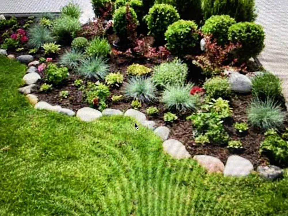 Local yard maintenance for outdoor upgrades across Jacksonville, NC - Discount Lawn Care