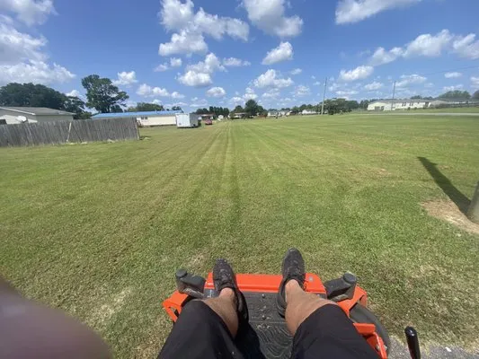 Discount Lawn Care Logo