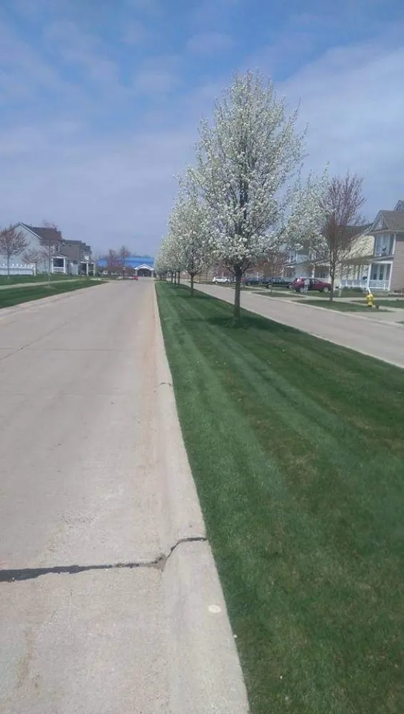 Top-rated yard maintenance for residential properties across New Haven, MI - Discount Lawn Care