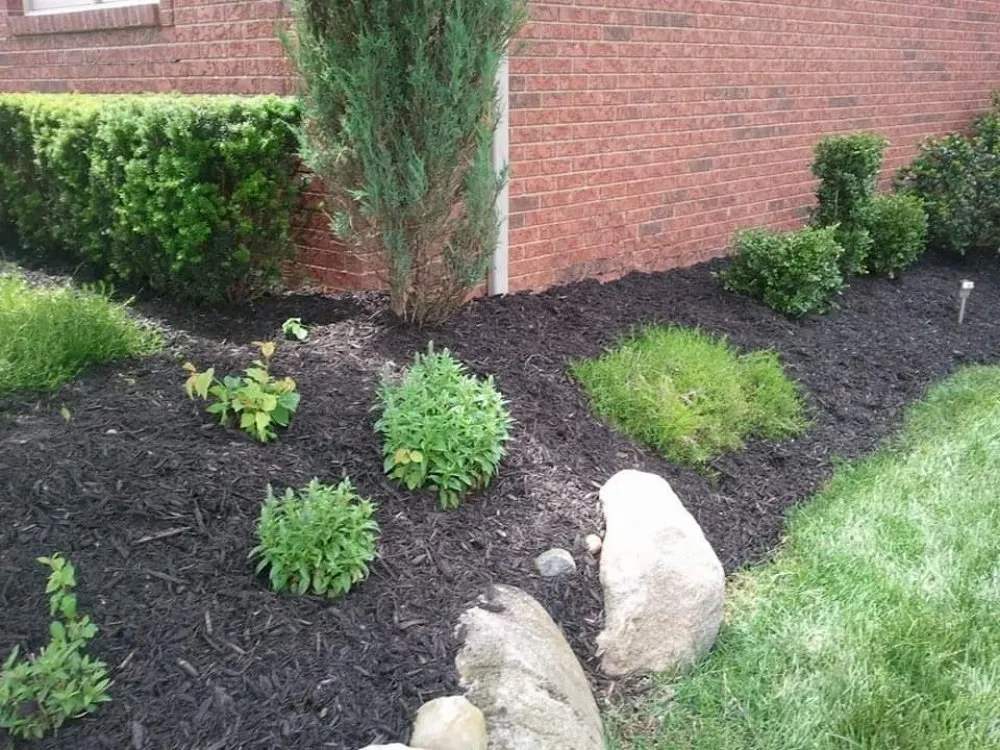 Affordable lawn mowing service in New Haven, MI by Discount Lawn Care