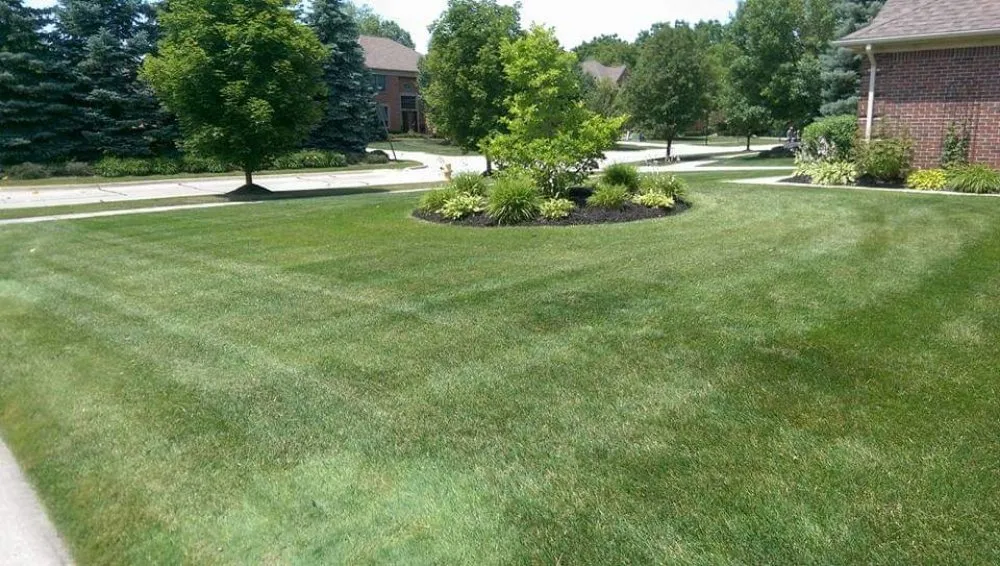 Trusted lawn care service with custom design across New Haven, MI - Discount Lawn Care