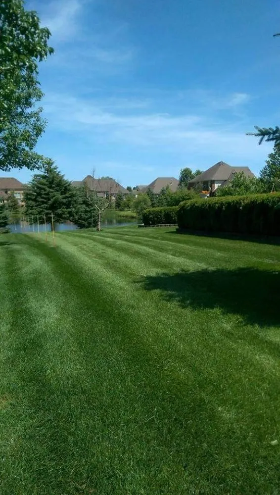Professional yard maintenance with custom design across New Haven, MI - Discount Lawn Care