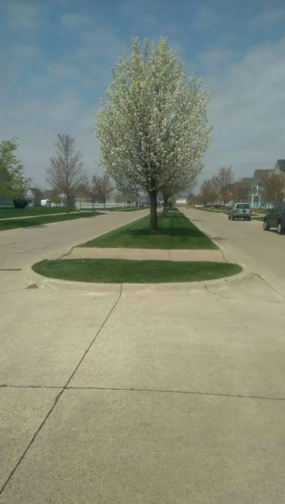 Local residential landscaping in New Haven, MI - Discount Lawn Care