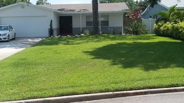 Trusted landscaping services in St Petersburg, FL - Discount Lawn Cuts