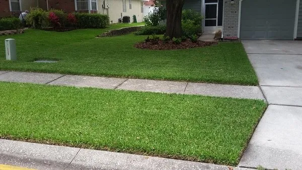 Local yard maintenance in St Petersburg, FL - Discount Lawn Cuts