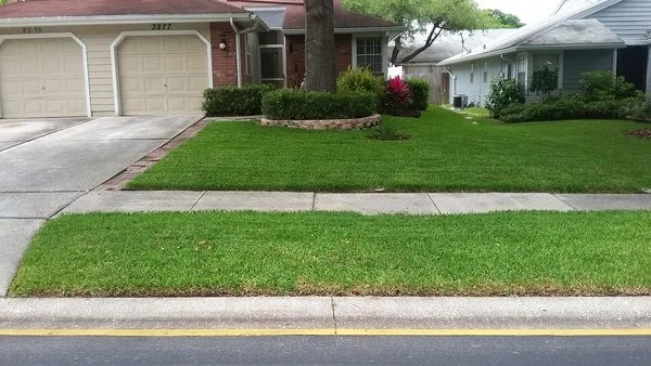 Custom landscape design for beautiful yards across St Petersburg, FL - Discount Lawn Cuts