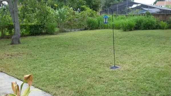 Local landscape installation experts serving St Petersburg, FL - Discount Lawn Cuts
