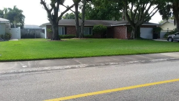 Custom lawn mowing service for year-round maintenance across St Petersburg, FL - Discount Lawn Cuts