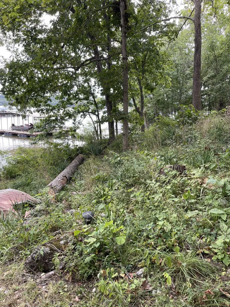 Trusted landscape installation in Sedalia, MO by Discount Lawn Services