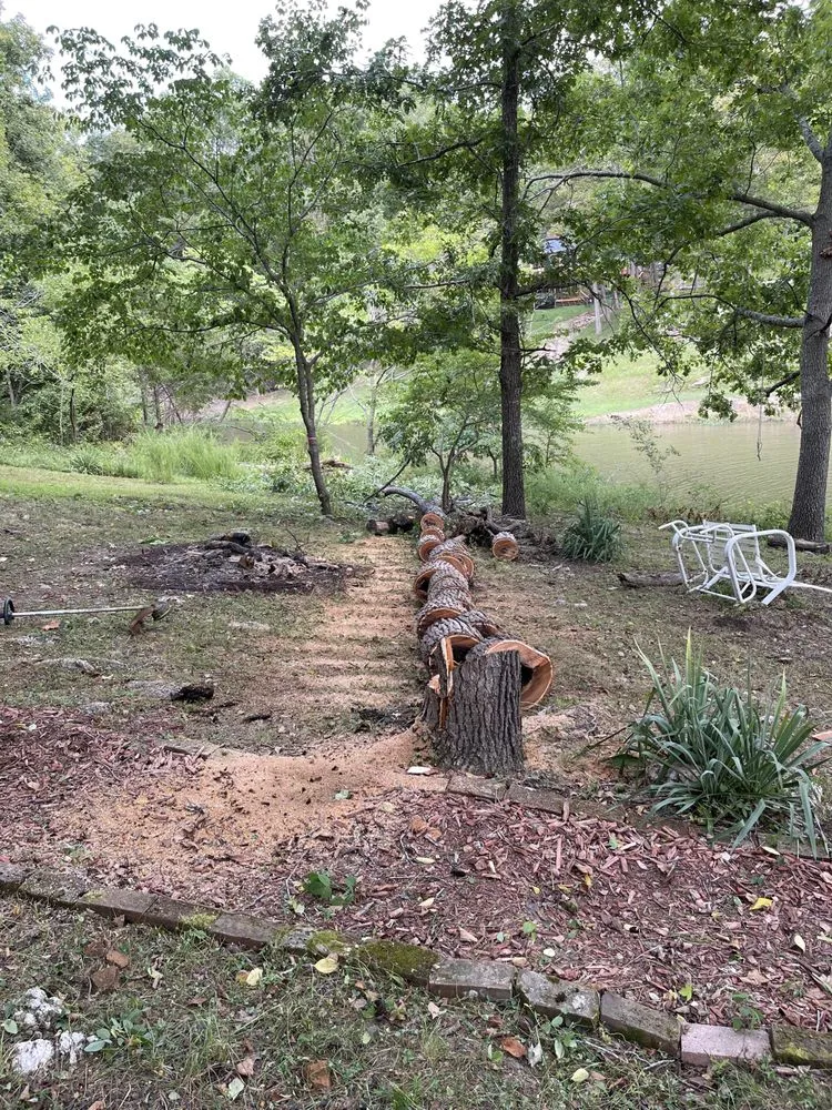 Expert landscaping services in Sedalia, MO by Discount Lawn Services