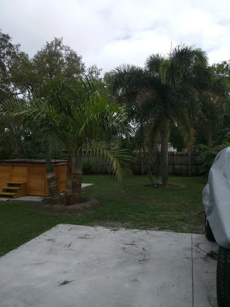 Affordable landscaping services for outdoor upgrades across Largo, FL - Discount Palms and Plants