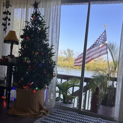 Discount Palms and Plants