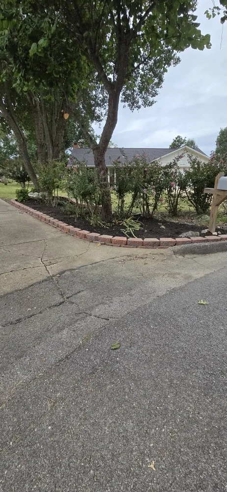 Top-rated yard cleanup service experts serving Mountain Home, AR - Discount Services