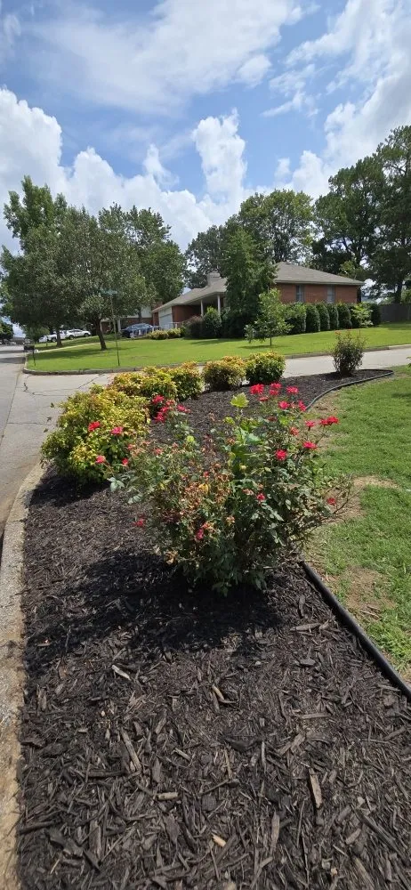 Professional yard maintenance experts serving Mountain Home, AR - Discount Services