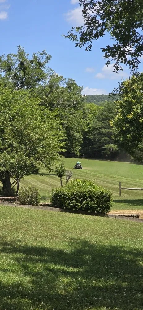 Affordable lawn mowing service for outdoor upgrades across Mountain Home, AR - Discount Services