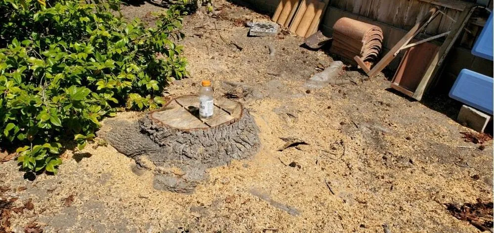 Expert yard maintenance for homes across Lakeside, CA - Discount Stump Grinding