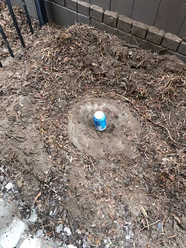 Local yard maintenance in Lakeside, CA by Discount Stump Grinding