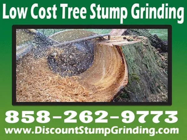 Trusted outdoor landscaping with custom design across Lakeside, CA - Discount Stump Grinding