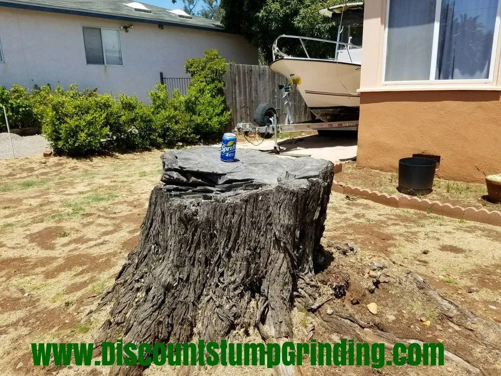 Professional landscape installation for outdoor upgrades in Lakeside, CA by Discount Stump Grinding