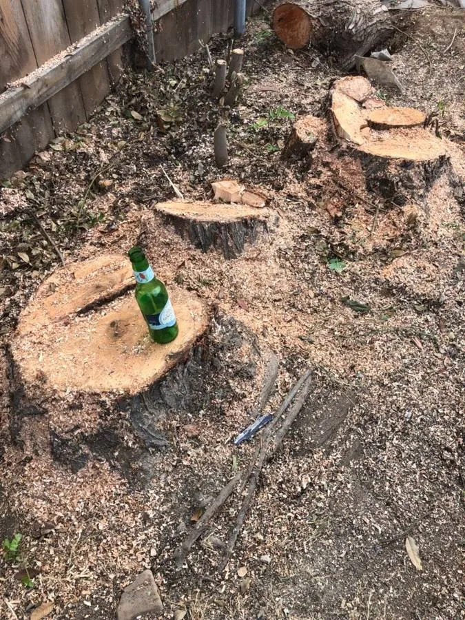 Top-rated yard cleanup service for residential properties in Lakeside, CA by Discount Stump Grinding