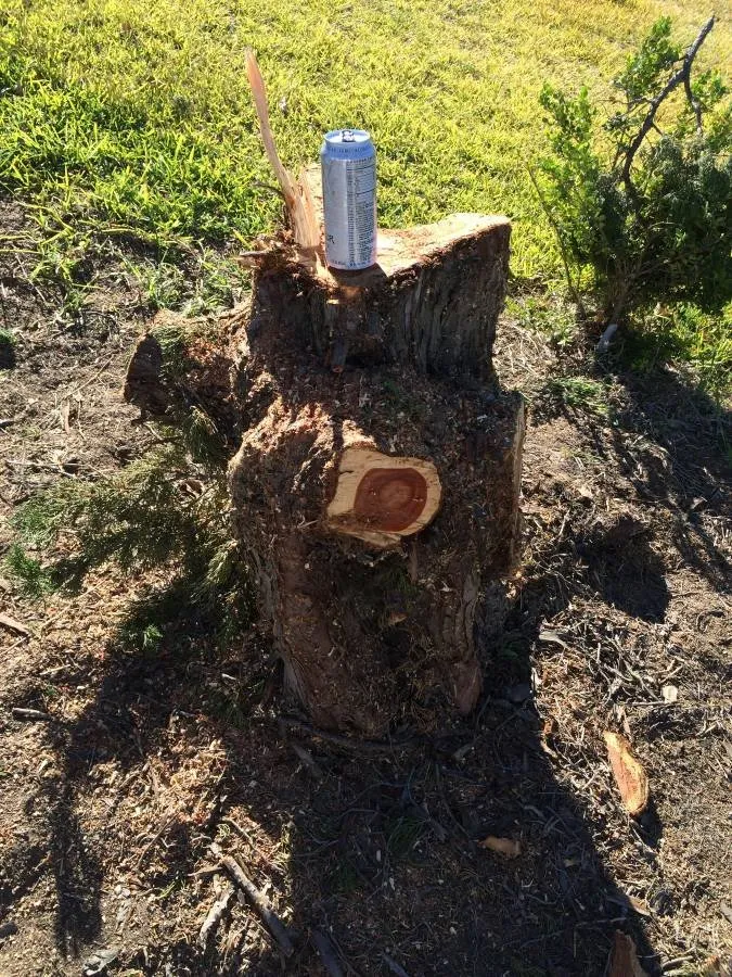 Local landscape installation for residential properties in Lakeside, CA by Discount Stump Grinding